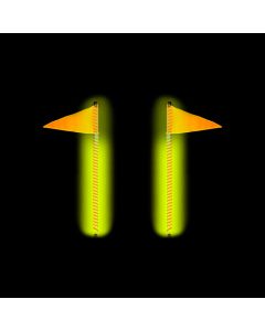 2 Foot RGB Glow Stixxs Whip Light Kit - Dual 