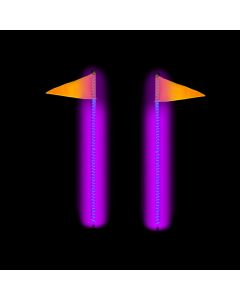 4 Foot RGB Glow Stixxs Whip Light Kit - Dual 