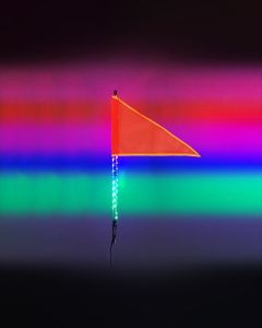 2 Foot HDX Whip Light Kit - Single 