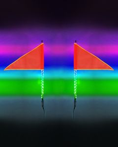 2 Foot RGB HDX Whip Light Kit - Dual 