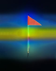 4 Foot HDX Whip Light Kit - Single 