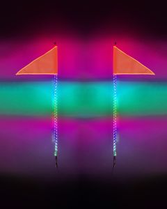 4 Foot HDX Whip Light Kit - Dual 