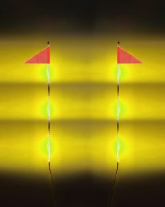 6 Foot HDX Whip Light Kit - Dual 