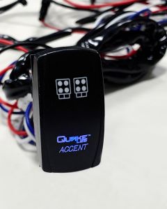 RGB Accent Wire Harness